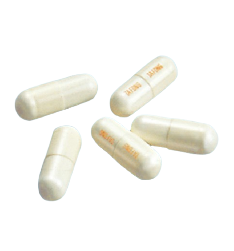 ALL_catalog_26C30_Zza3u7gcLC