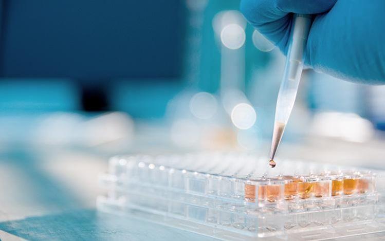 大豐製藥股份有限公司|核心價值|